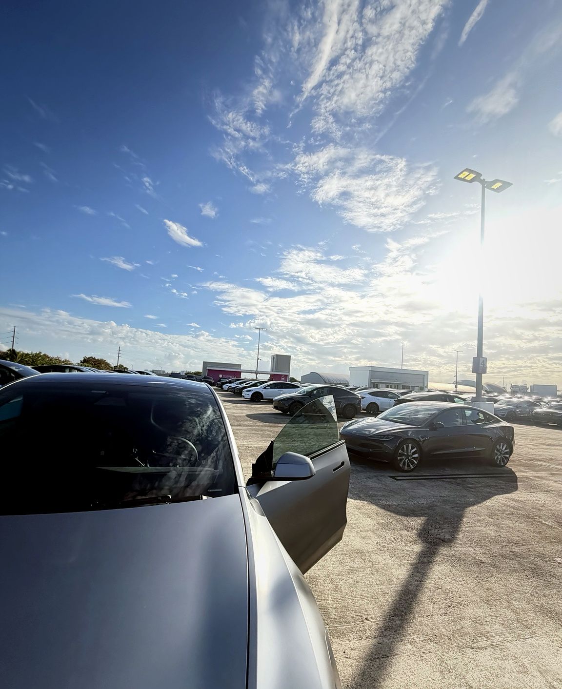 Model Y Quicksilver parked among other Teslas on a clear day in Puerto Rico